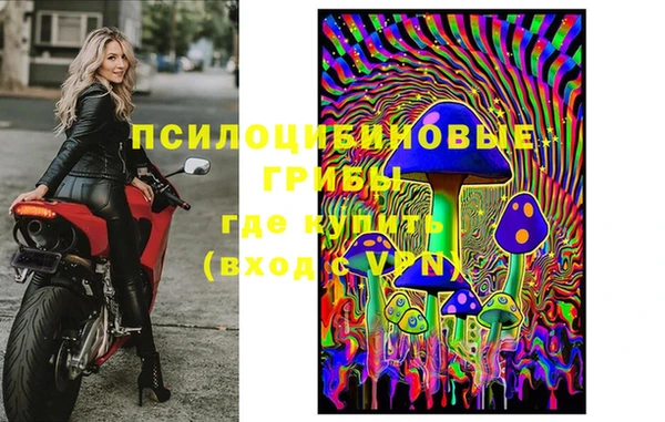 apvp Алзамай